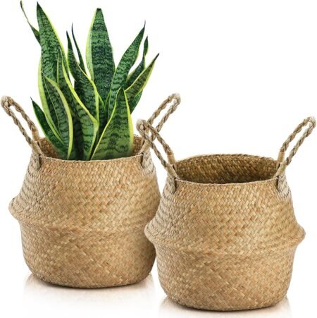 2-Pack Large Seagrass Woven Plant Baskets with Handles